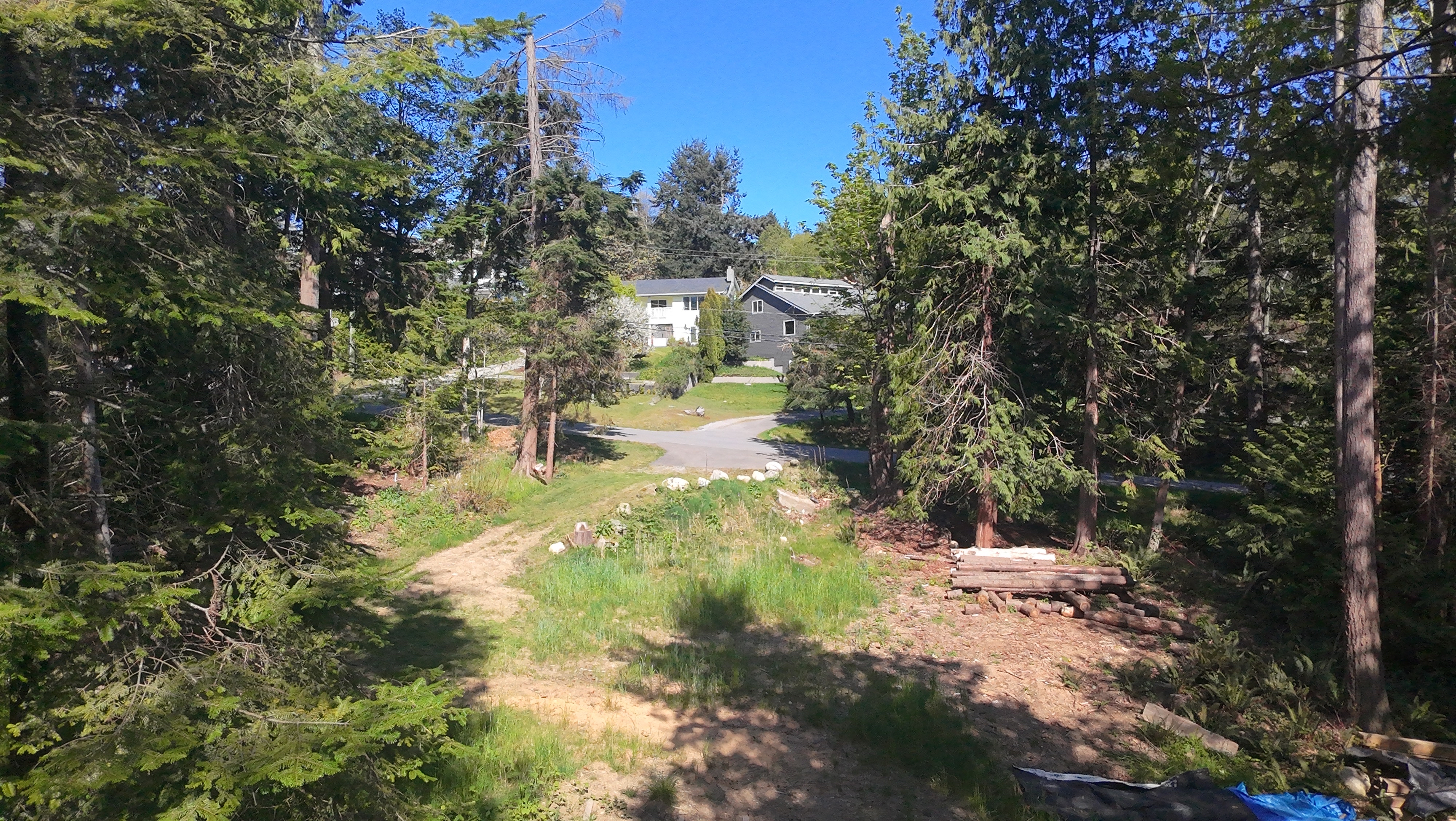 Wooded building area at Lot B, 1533 Grandview Road